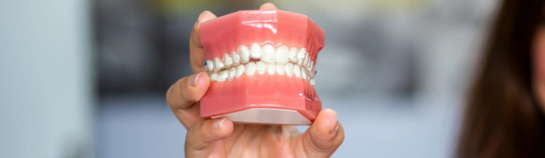 a woman holds up a plastic model of teeth